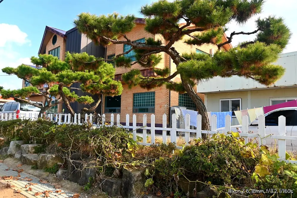 전경 1