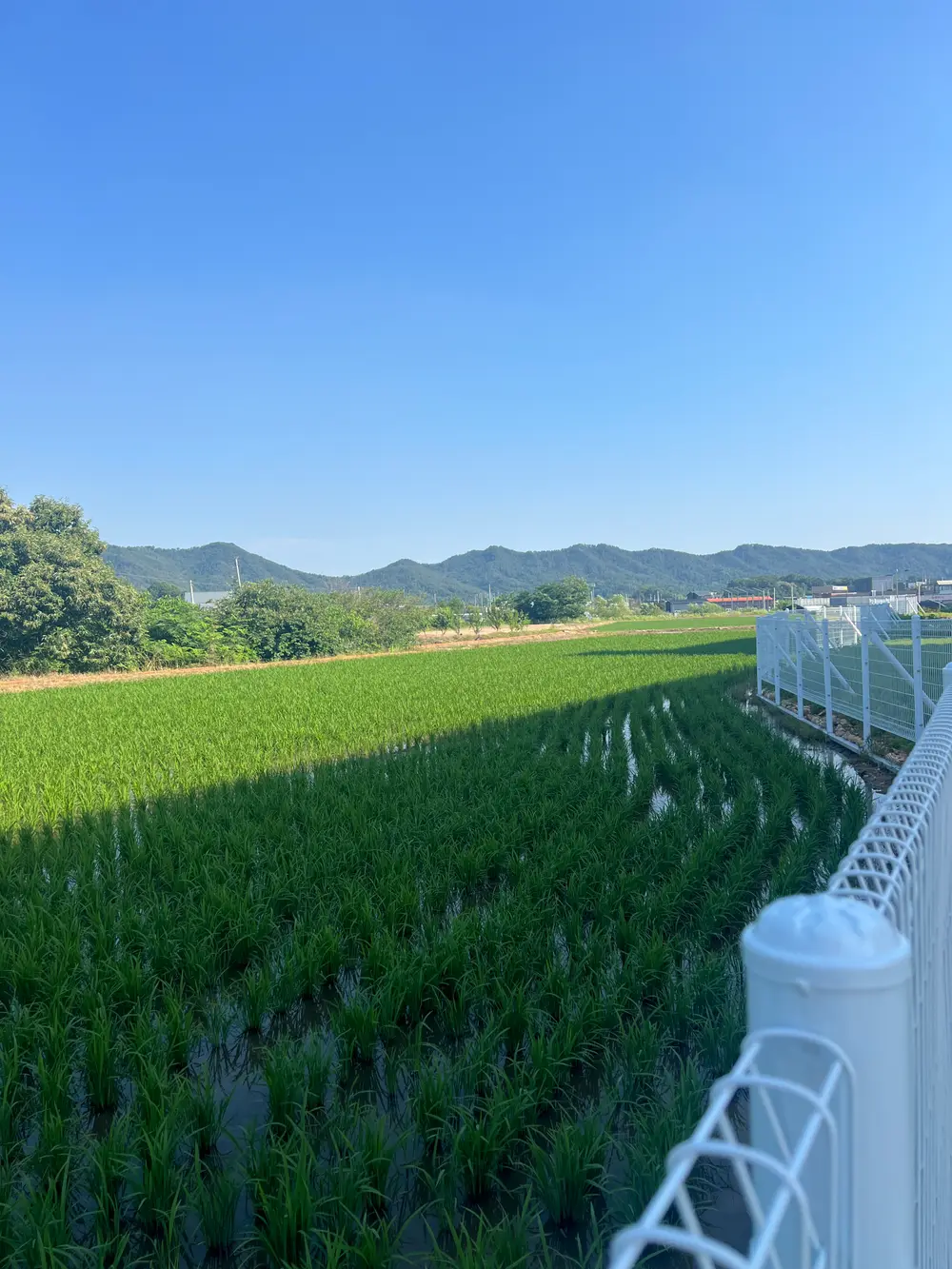 외부 전경