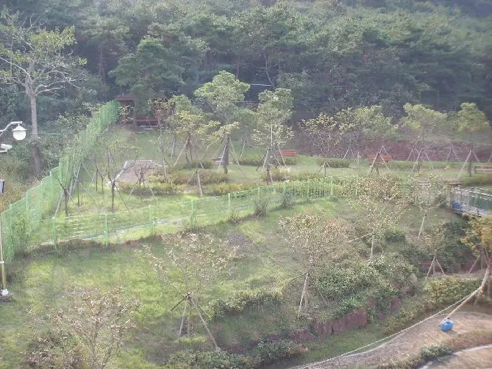 뒷뜰전경