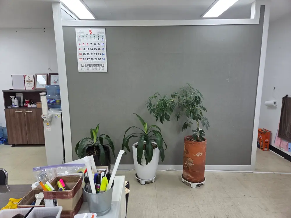돌보인 잠실점 내부사진3