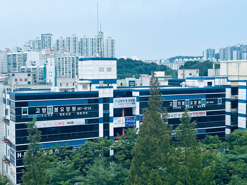 고향의봄 전경