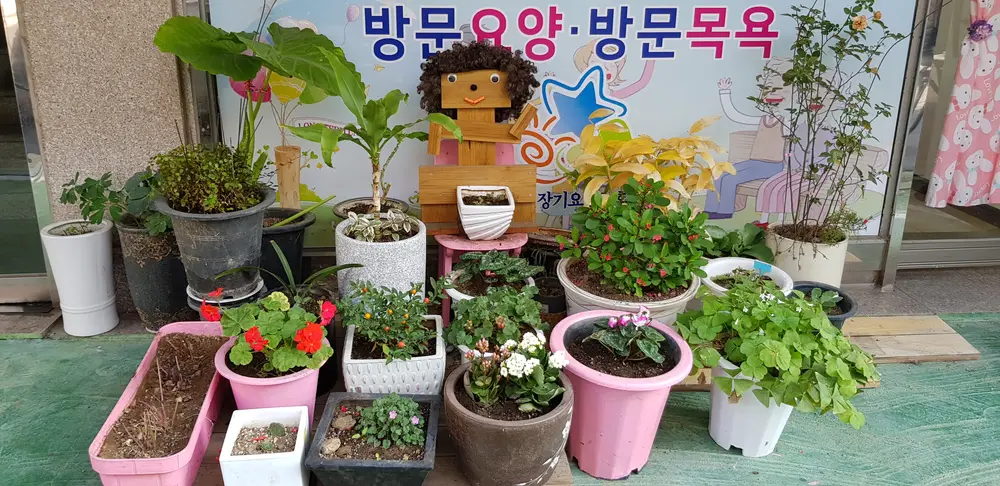 사랑나무재가노인복지센타