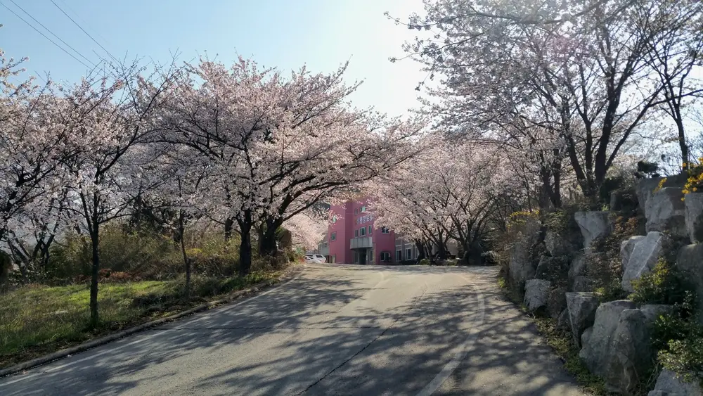 시설전경