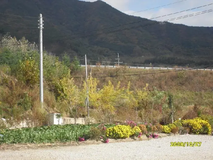 밀알 그룹 홈 사진