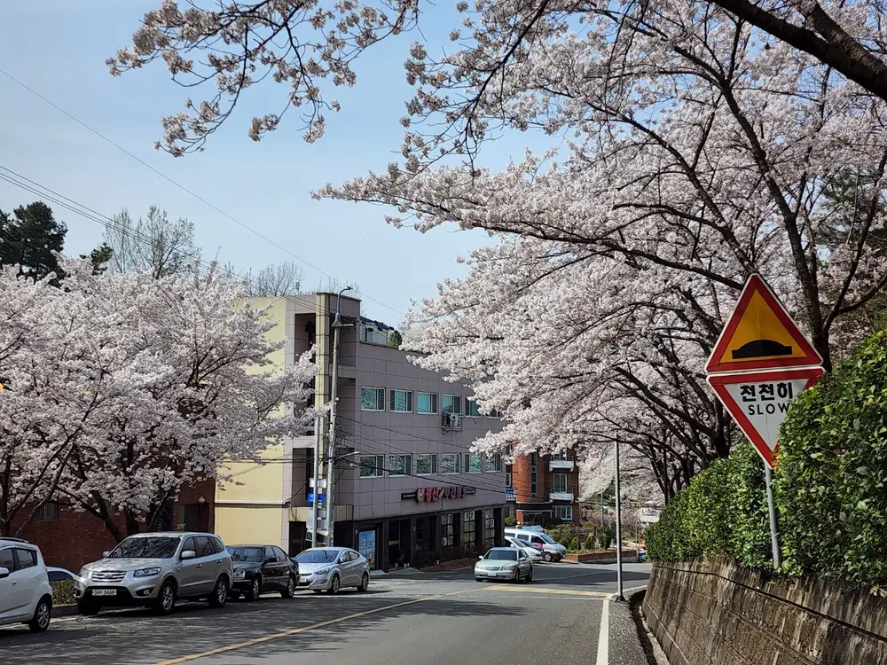 경산시니어재가장기요양기관 사진