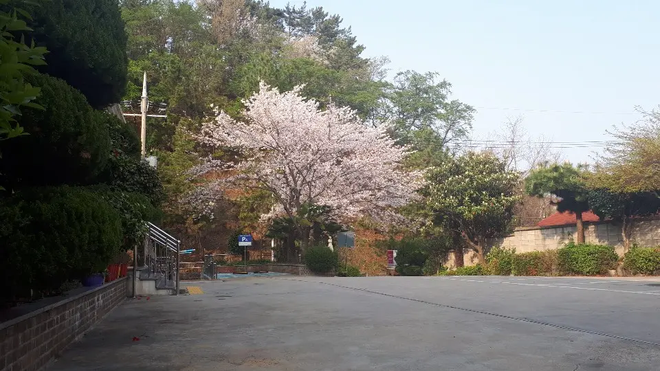 사랑애 센터 1층 전경