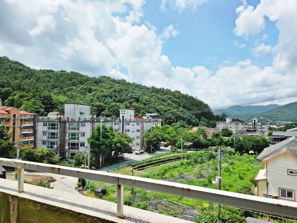 전경사진