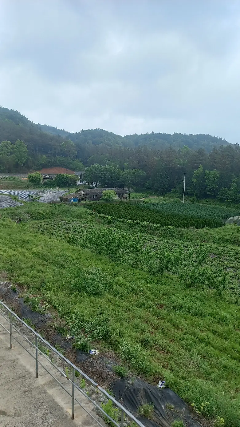 시설 전경