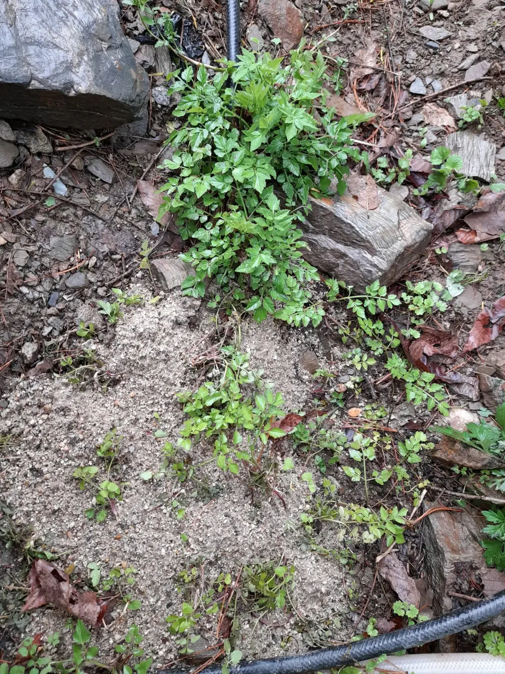 괴산제일요양원 사진