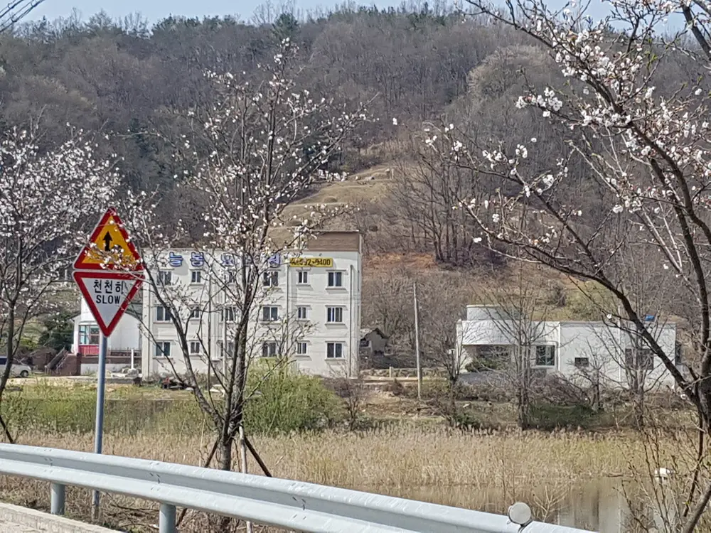 봄 전경