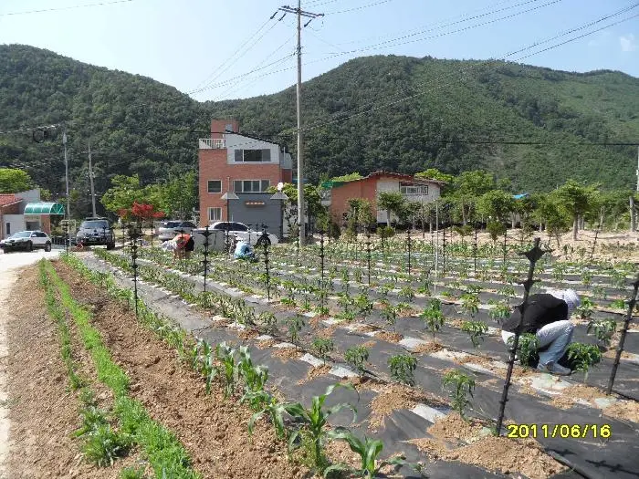 선한이웃의집 사진