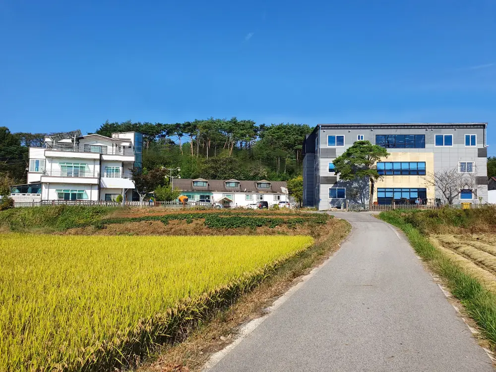 수린목요양원 사진