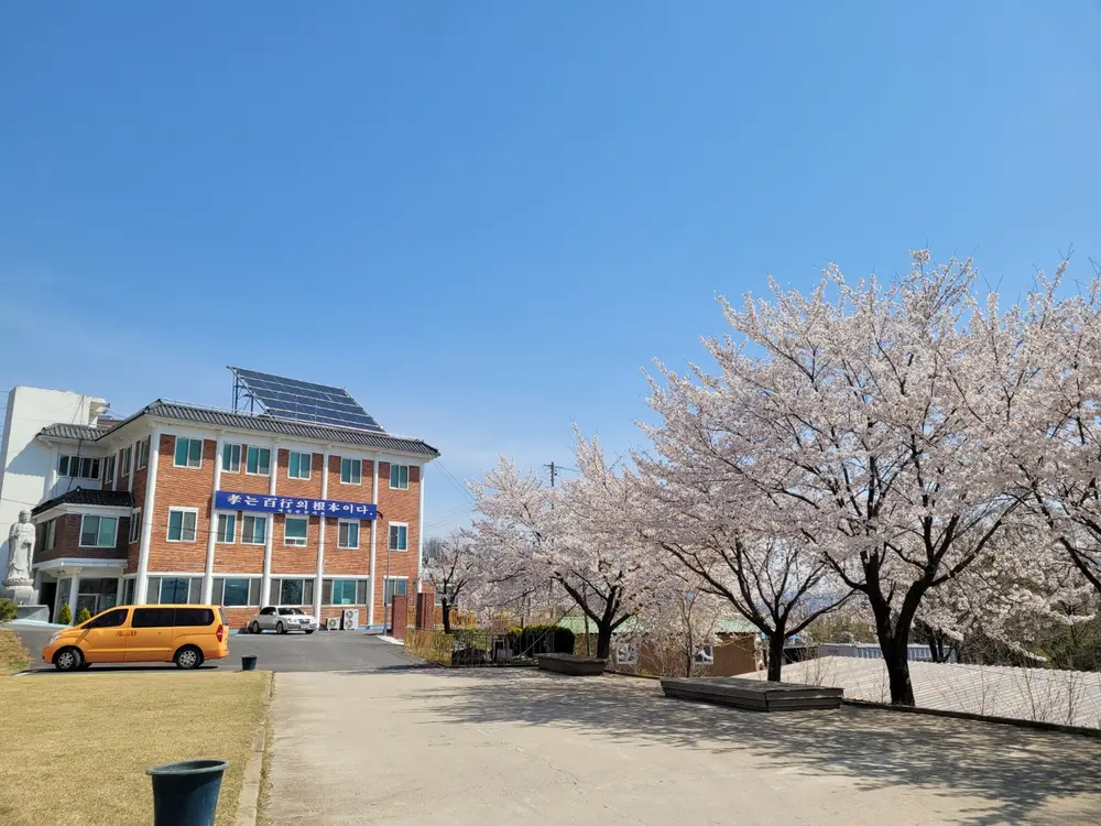 예천연꽃마을 사진