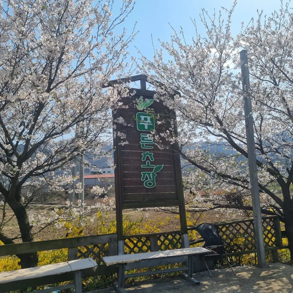 시설전경