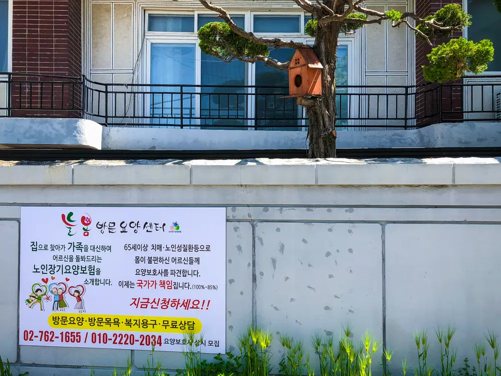 늘봄방문요양센터의 봄풍경