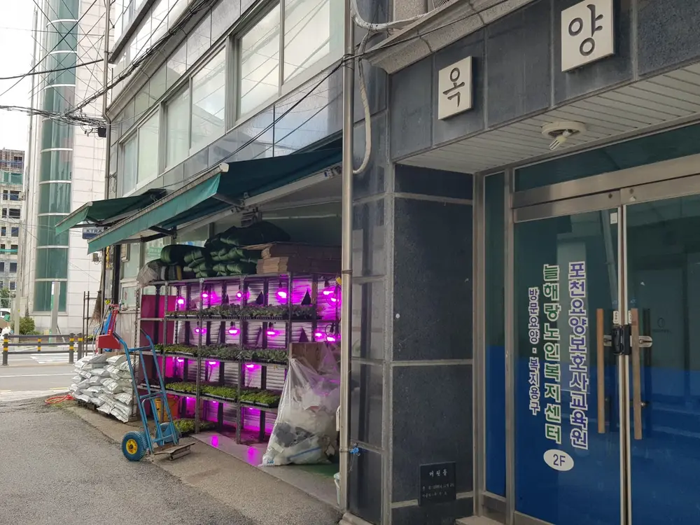 외부전경