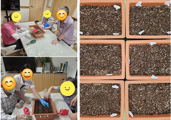 텃밭가꾸기