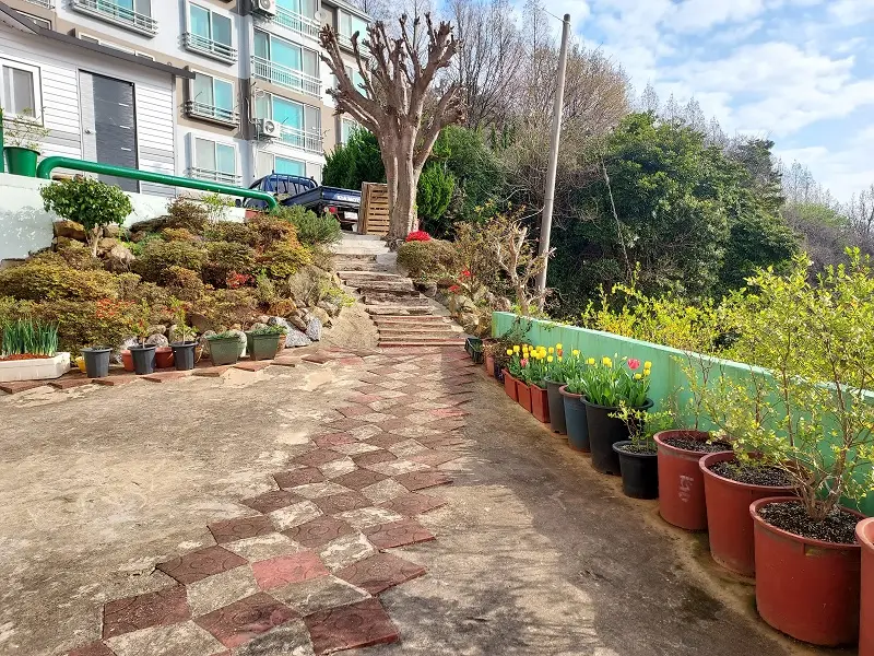 사랑의동산