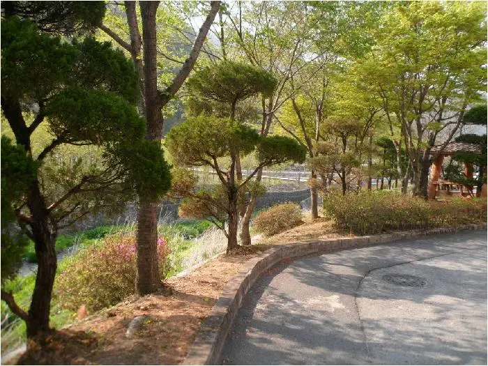 푸릇푸릇