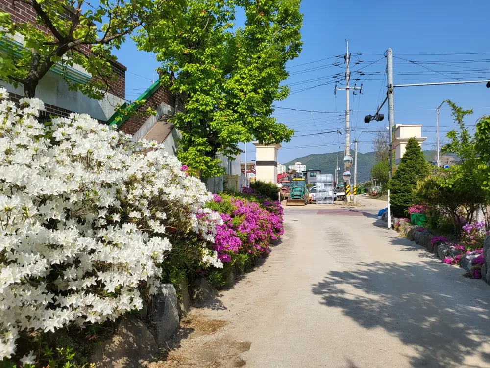 동송주간보호센터 사진