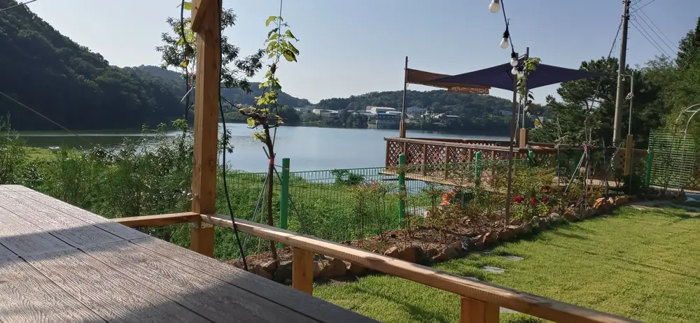 센터 사진