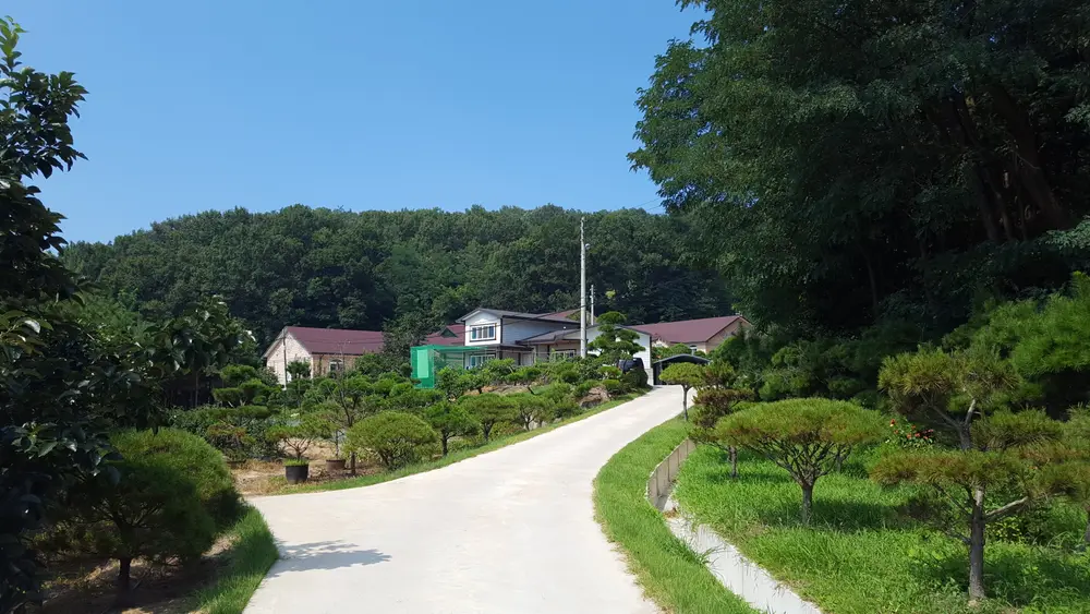 요양원전경
