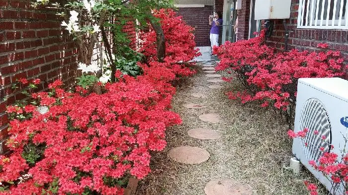시설풍경