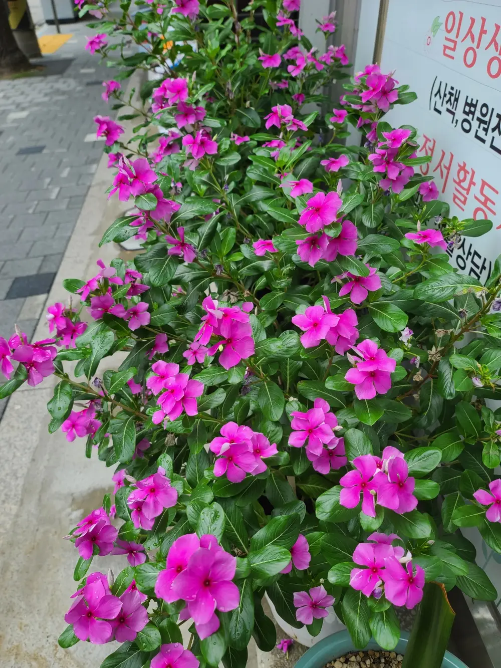 돌보미 시설전경