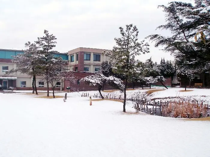 도리원 사진