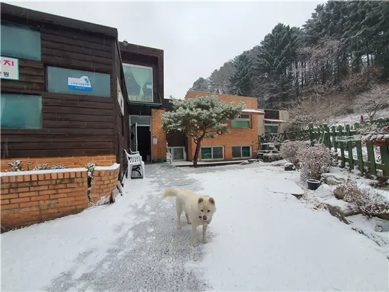 겨울 전경