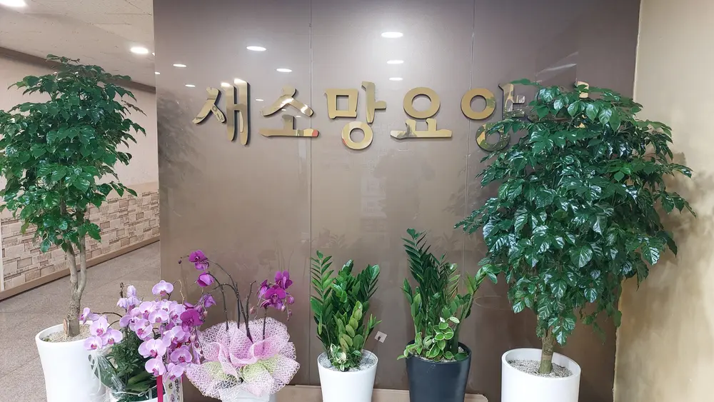 입구