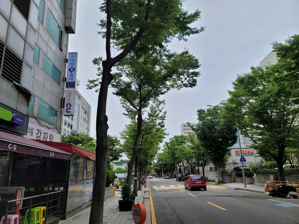 센터 전경