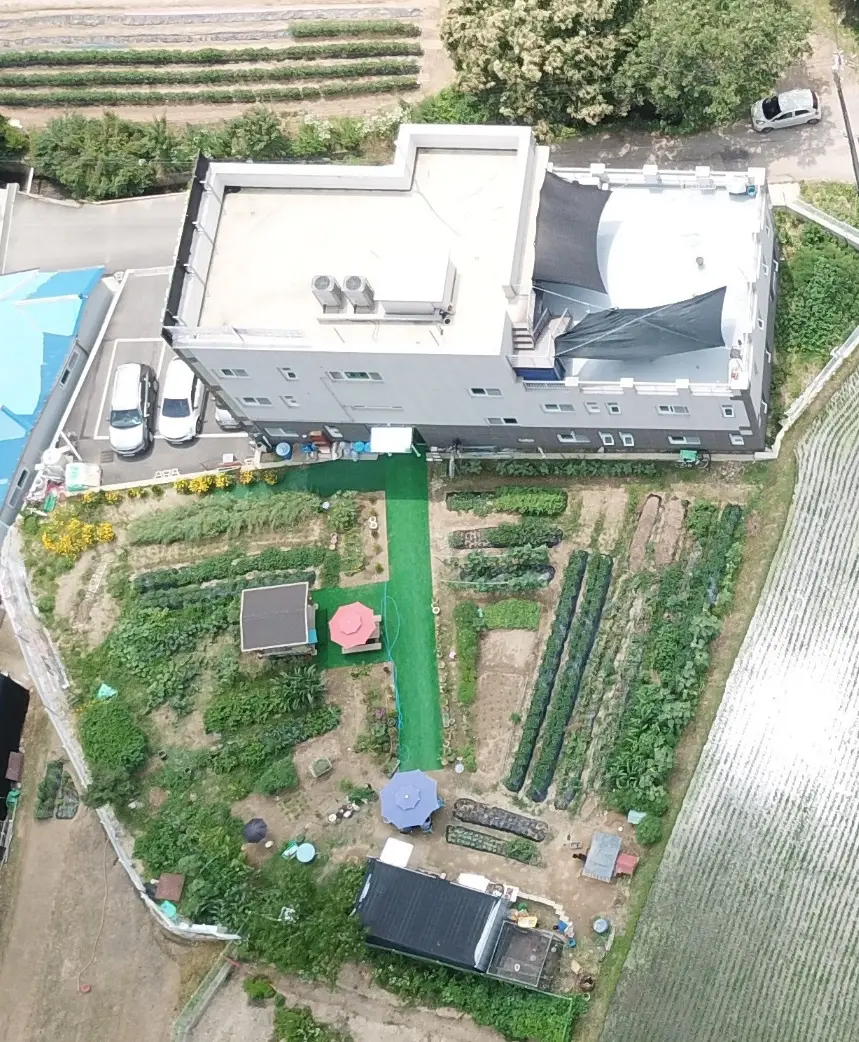 전체 전경