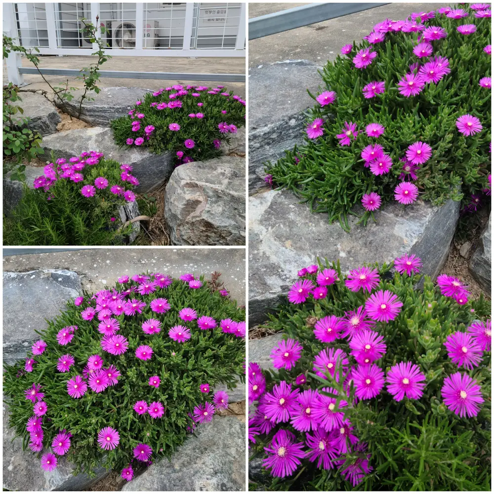 한가족실버홈 사진