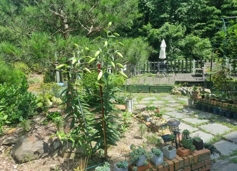 더나은요양원 사진