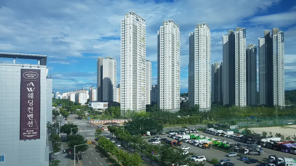 요양원 동쪽 전경(여름)
