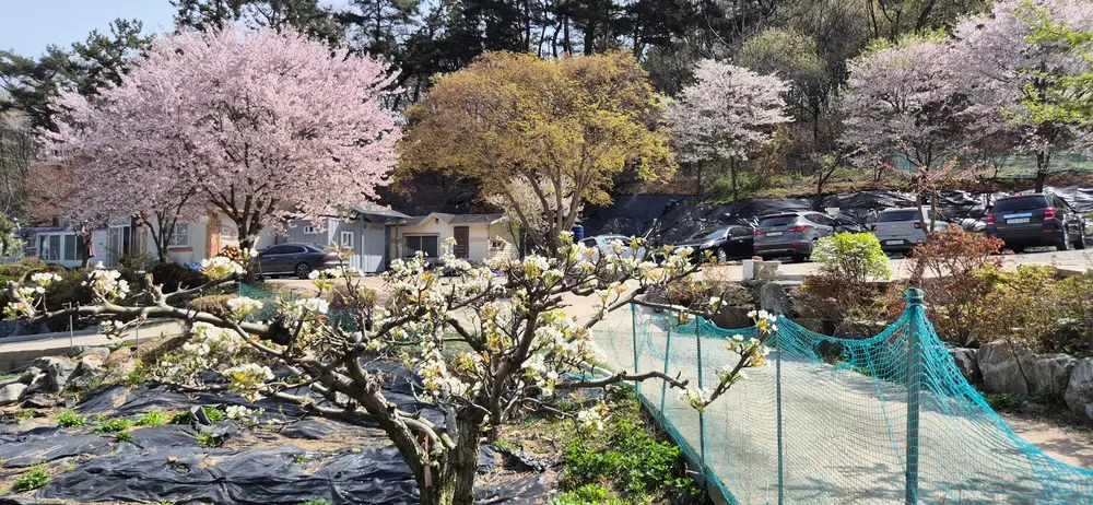 다사랑 통합 재가 주야간보호센터 사진