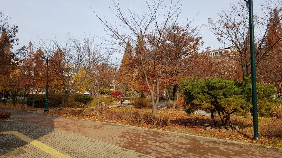 요양원앞공원