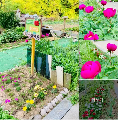 새수원노인요양공동생활가정 사진