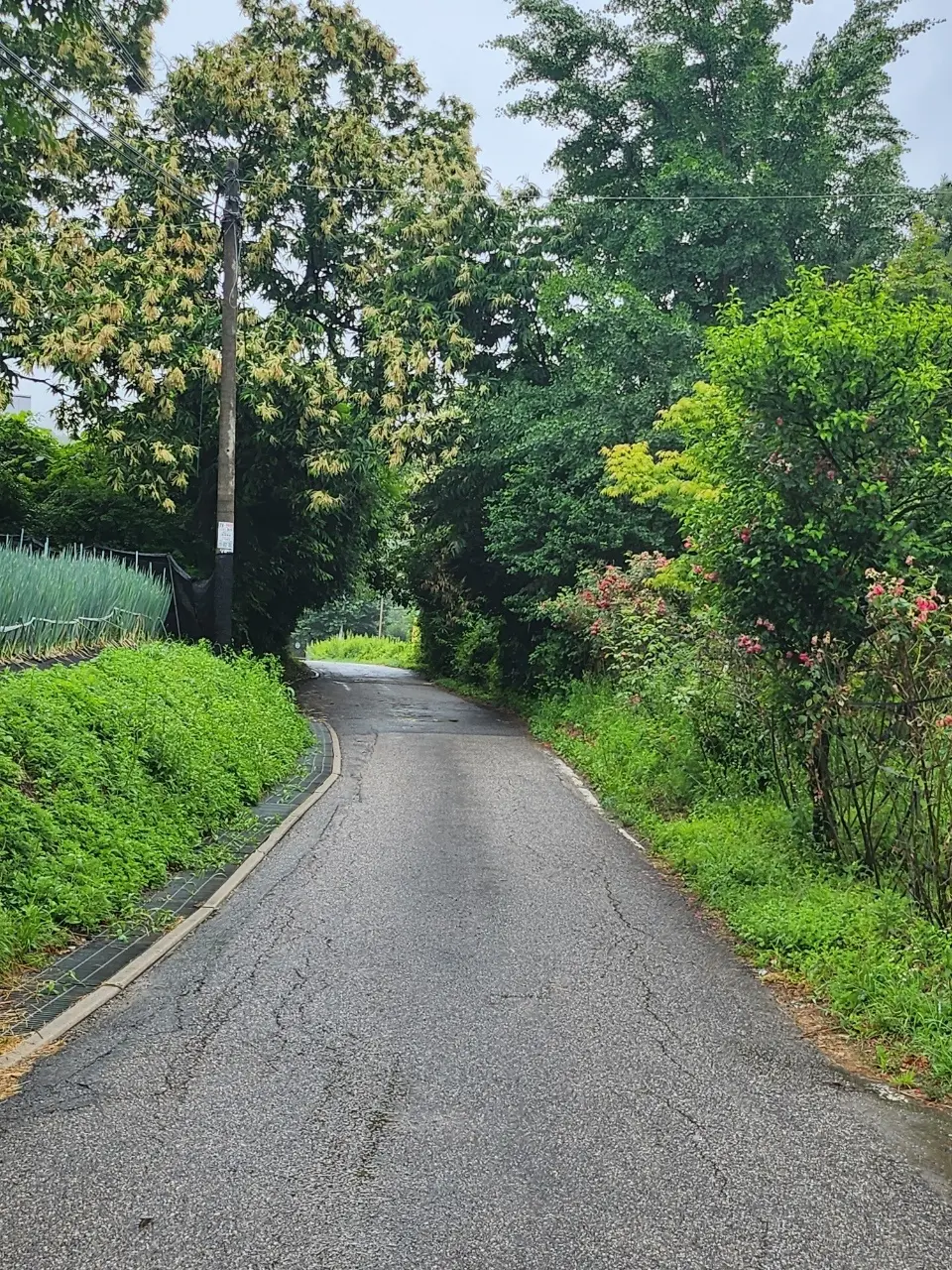 센터 입구 전경