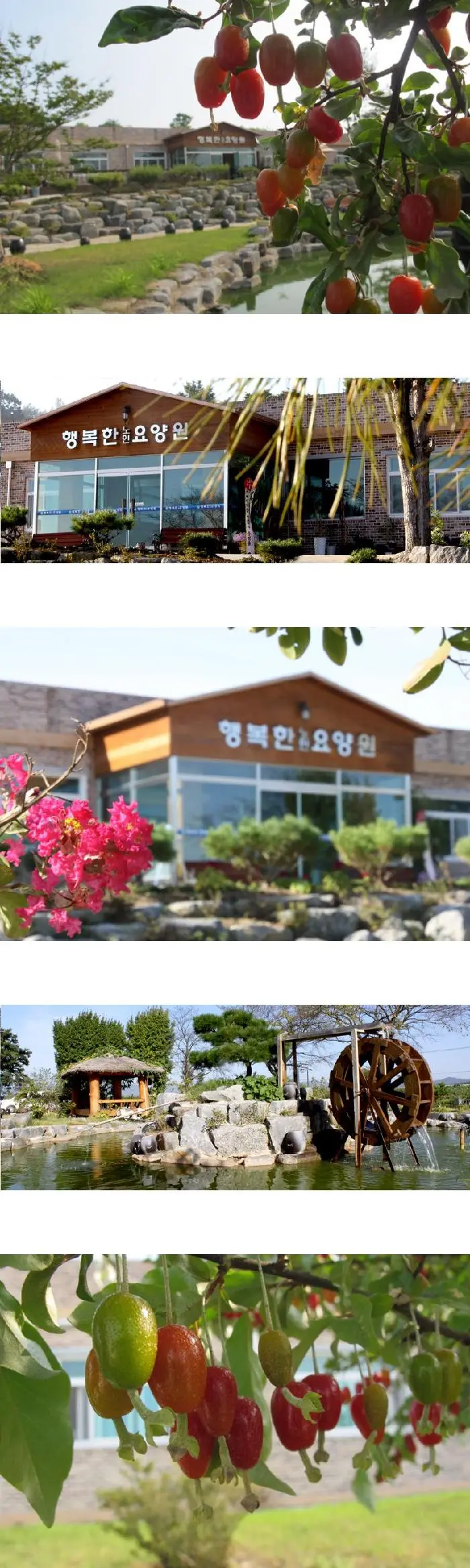 행복한요양원 봄_여름 전경