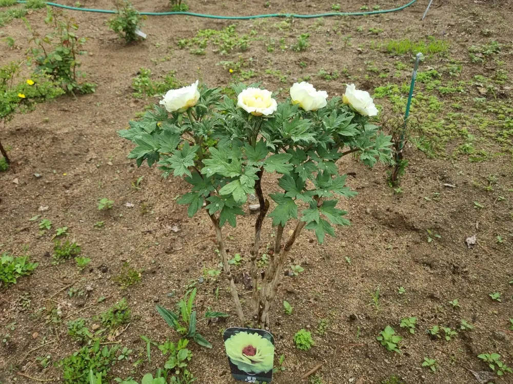 목천요양원 사진