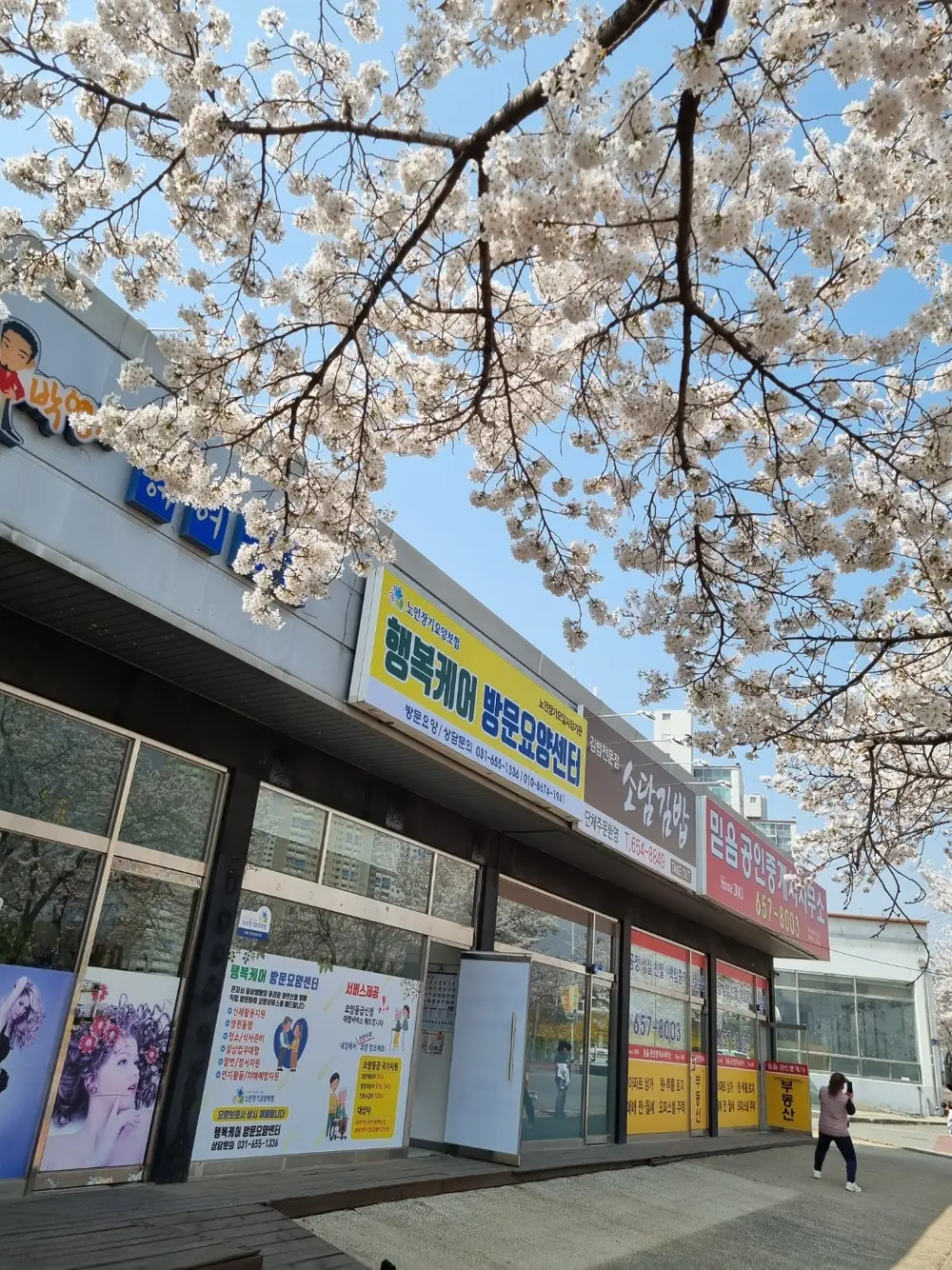센터사진
