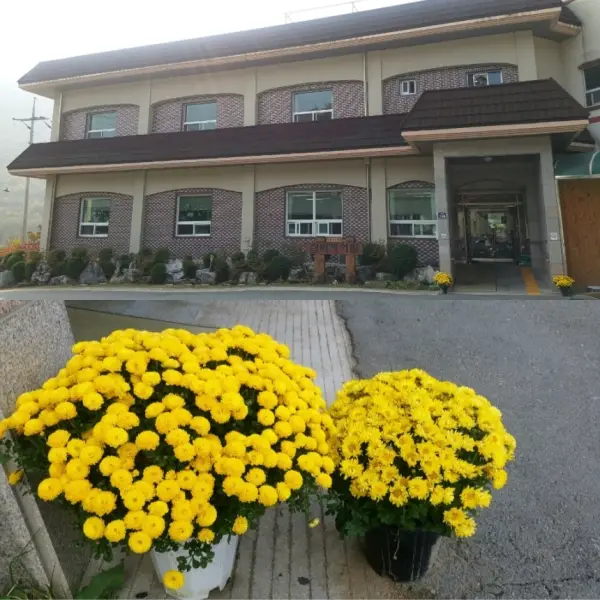 시설전경