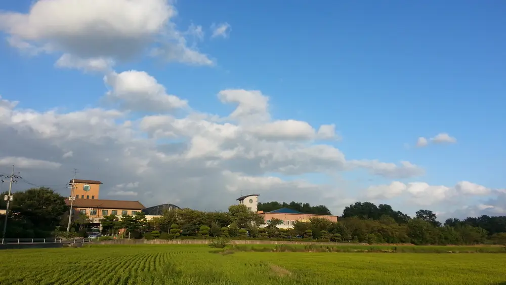 보은의집 사진