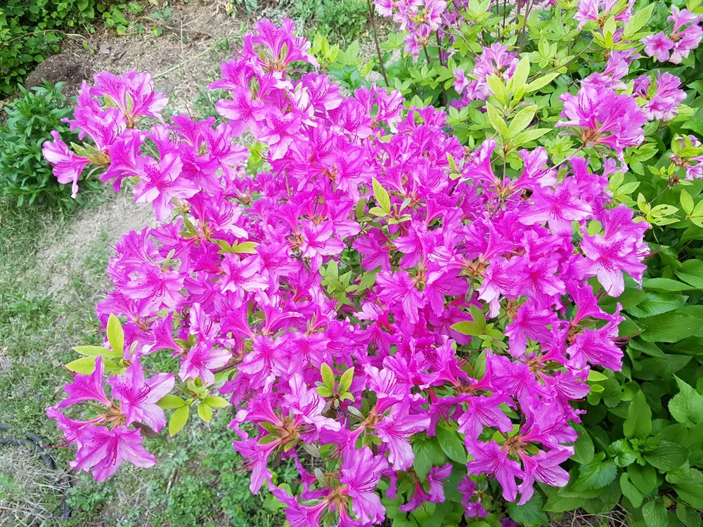 시설전경