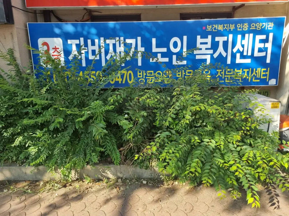 센터 전경