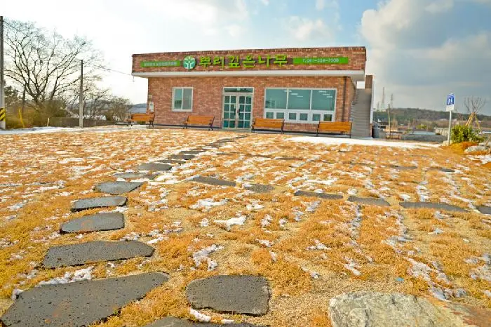 뿌리깊은나무 사진