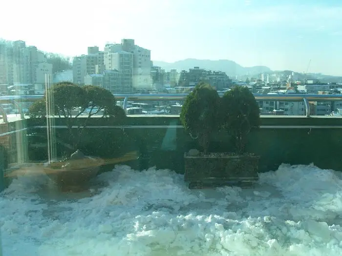건물에서 바라 본 정경