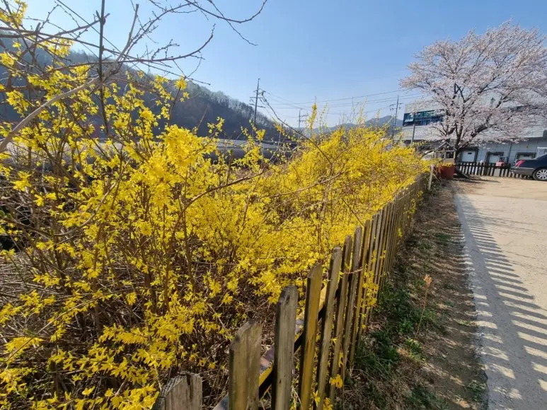 참좋은노인주간보호센터 전경